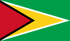 Guyana mobile recharge promotion